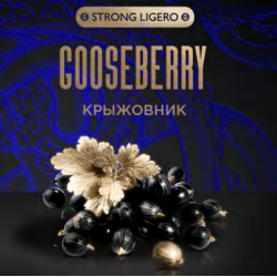 Табак Kraken Strong Gooseberry (Крыжовник) 30 гр